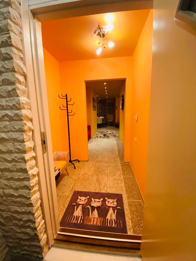 Party House Hotel Cielavas ภายนอก รูปภาพ